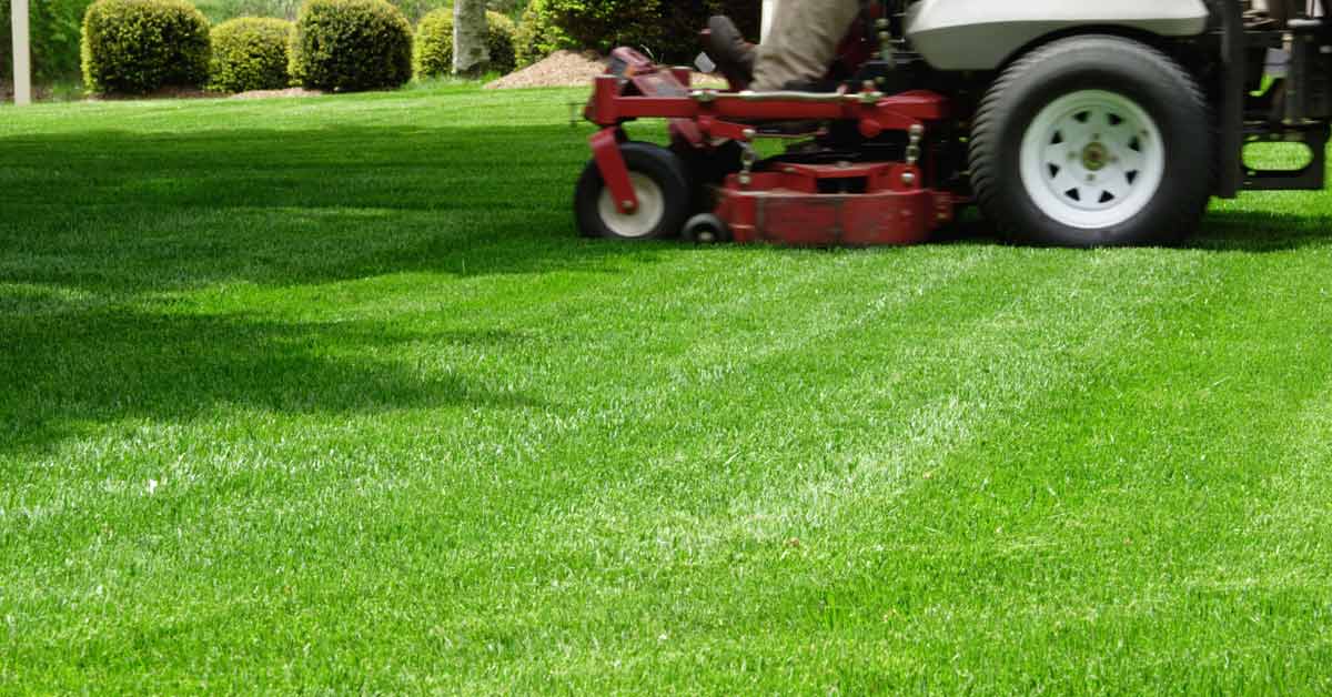 tips-from-pennington-for-seeding-or-overseeding-your-lawn