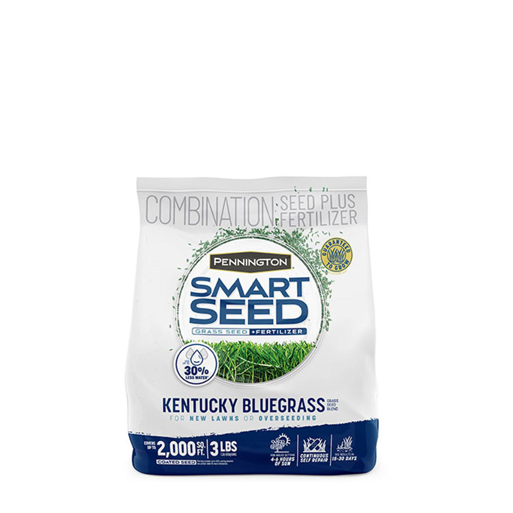 Smart-Seed-Kentucky-Bluegrass-Grass-Seed-1-3lb
