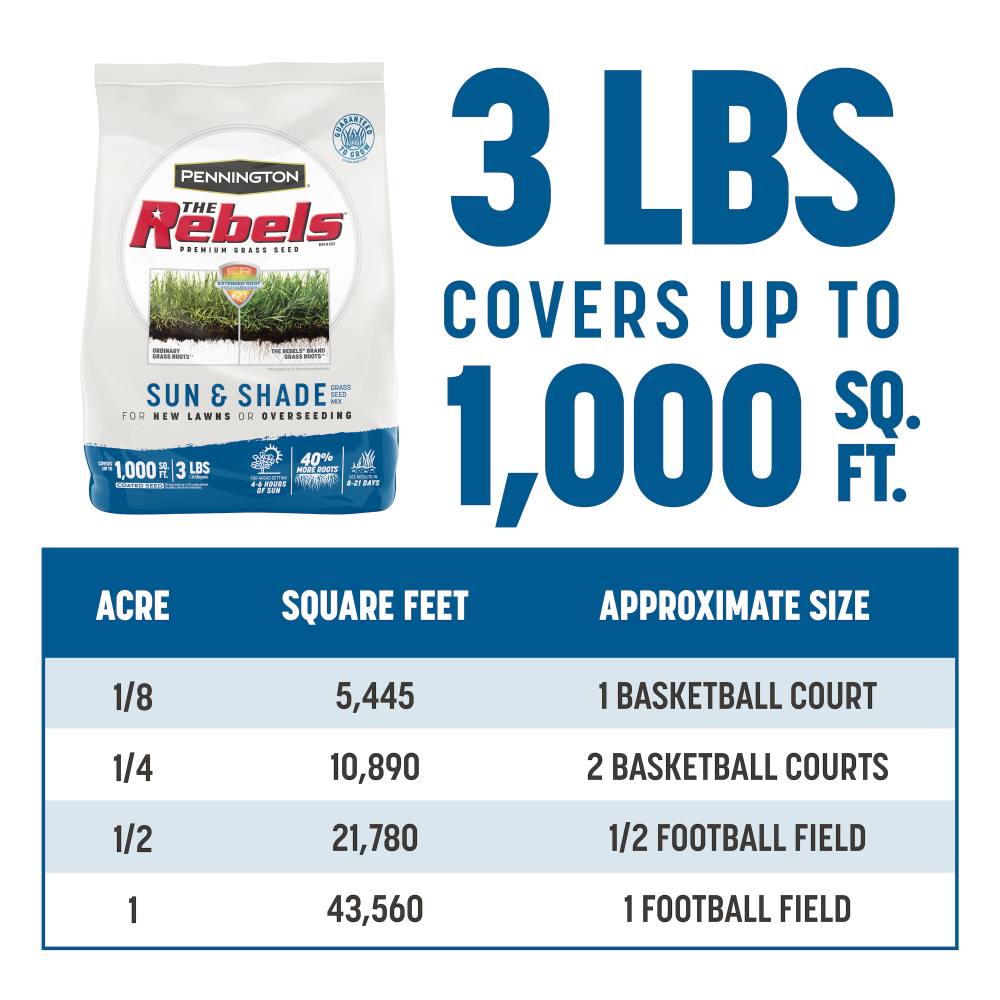 pennington the rebels sun and shade