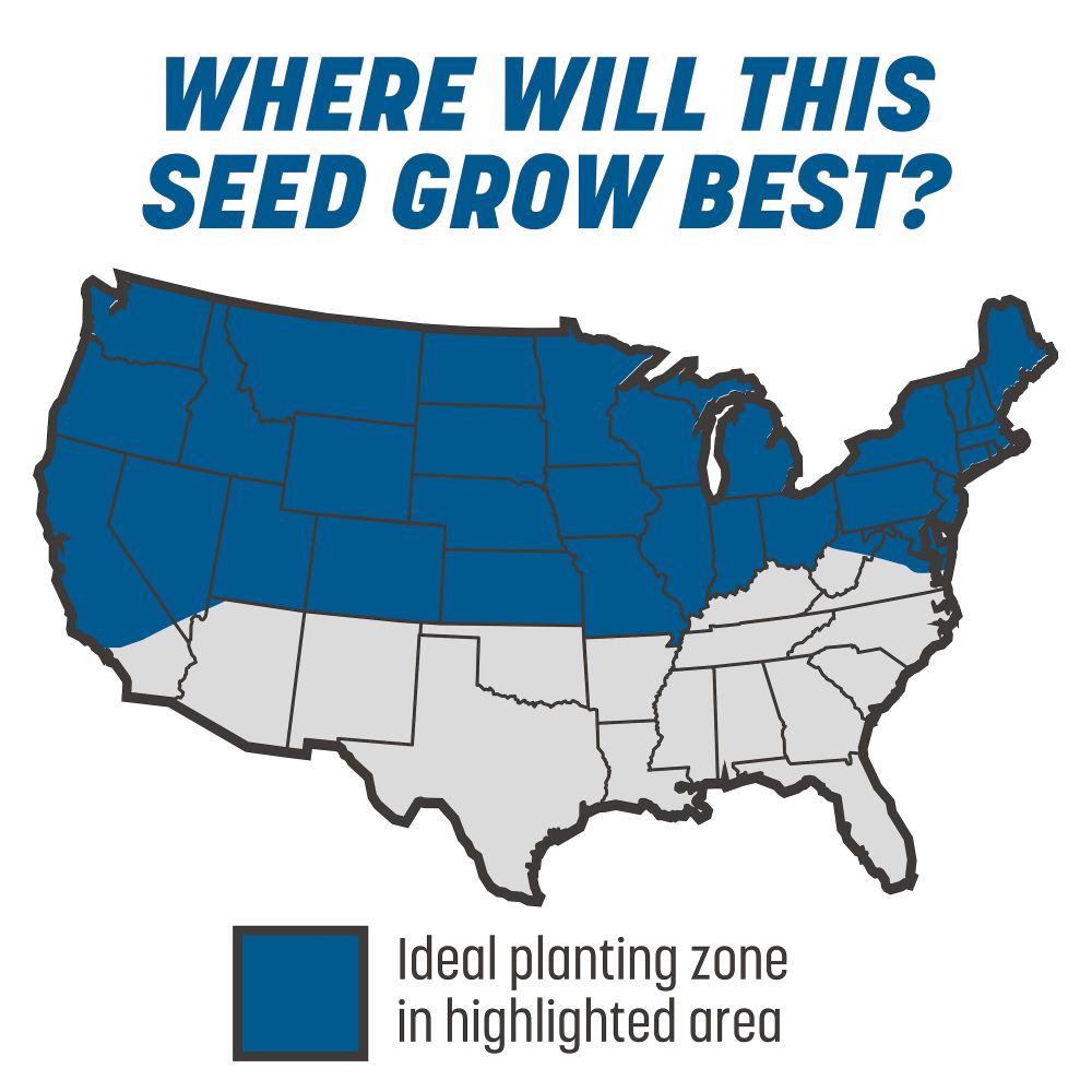 pennington the rebels sun and shade