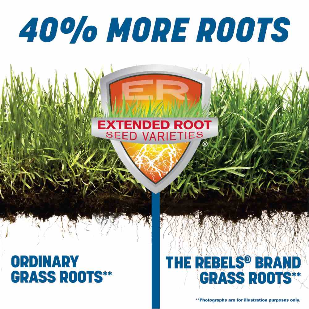 pennington the rebels sun and shade