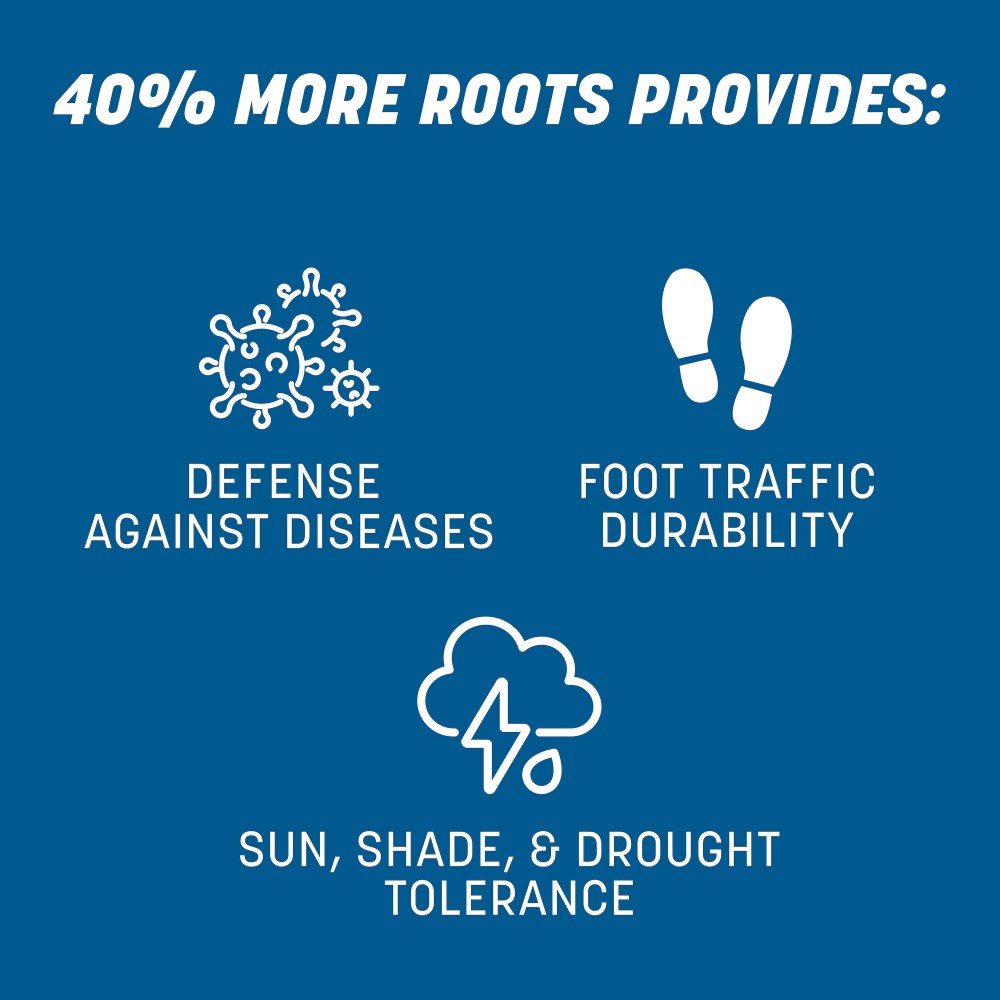 pennington the rebels sun and shade