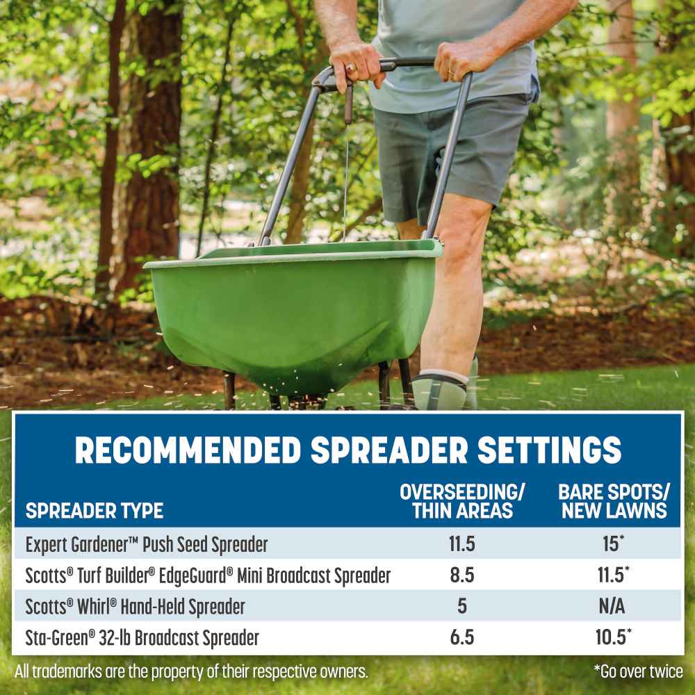 pennington the rebels sun and shade