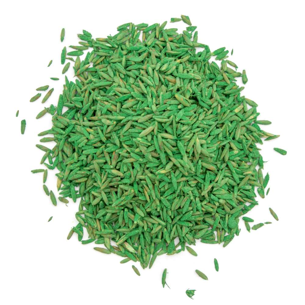 pennington the rebels sun and shade