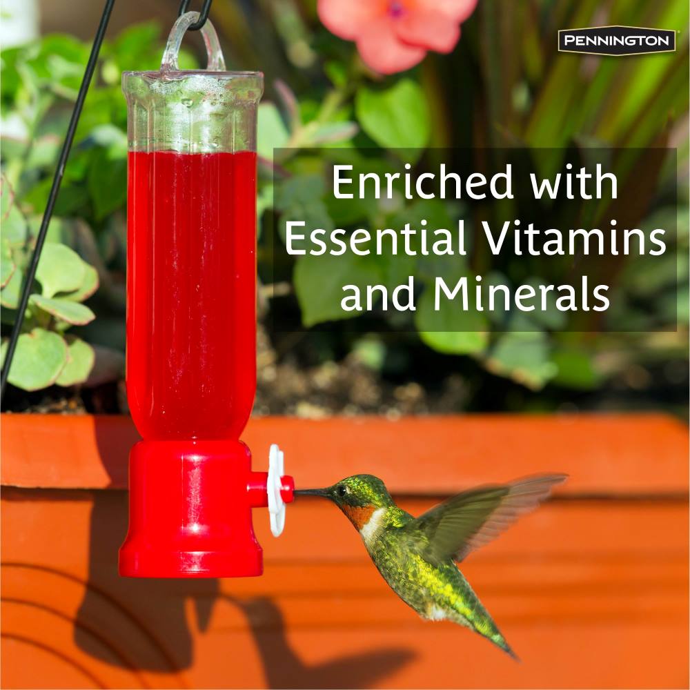 pennington select natural springs nectar concentrate