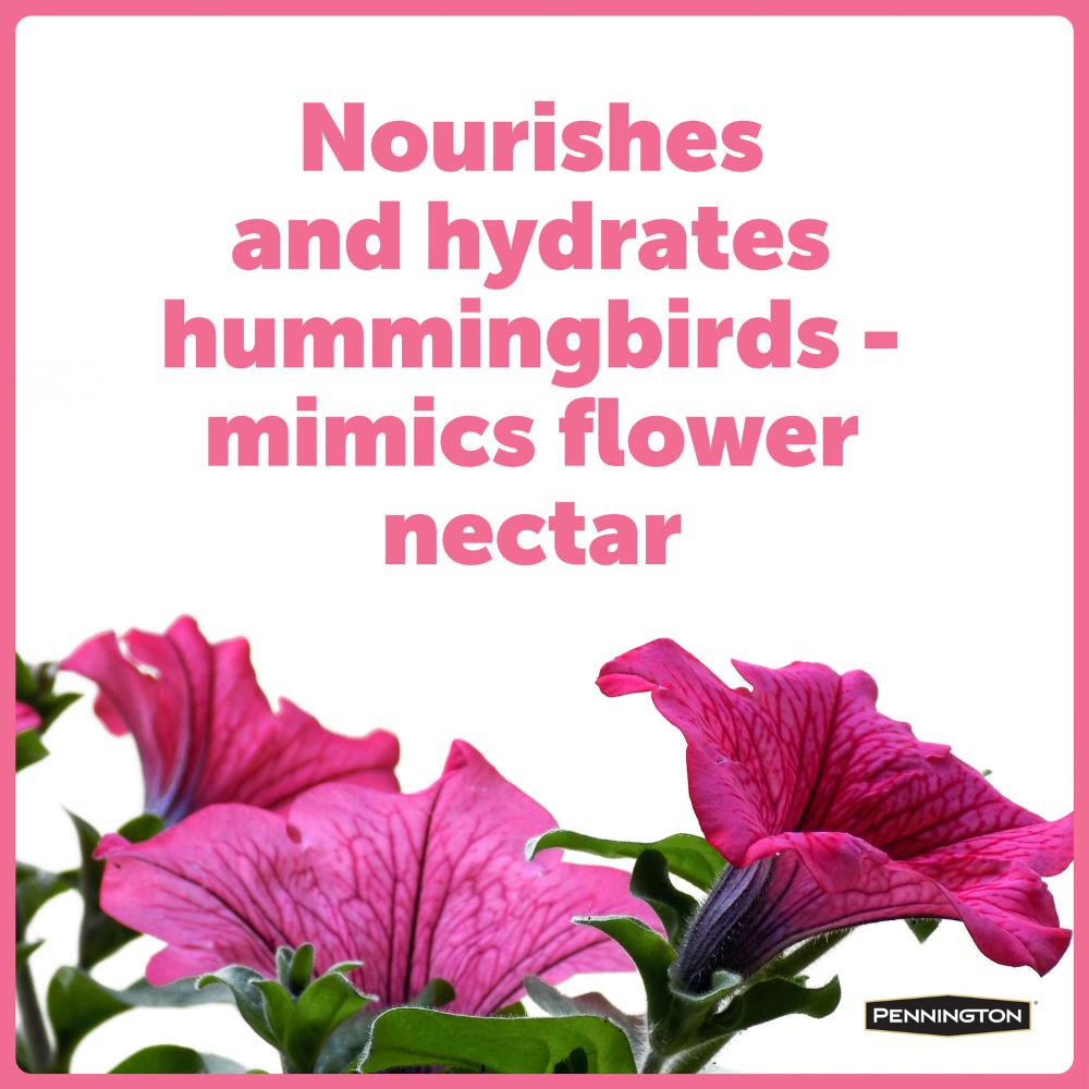 pennington ultraelectro nectar concentrate