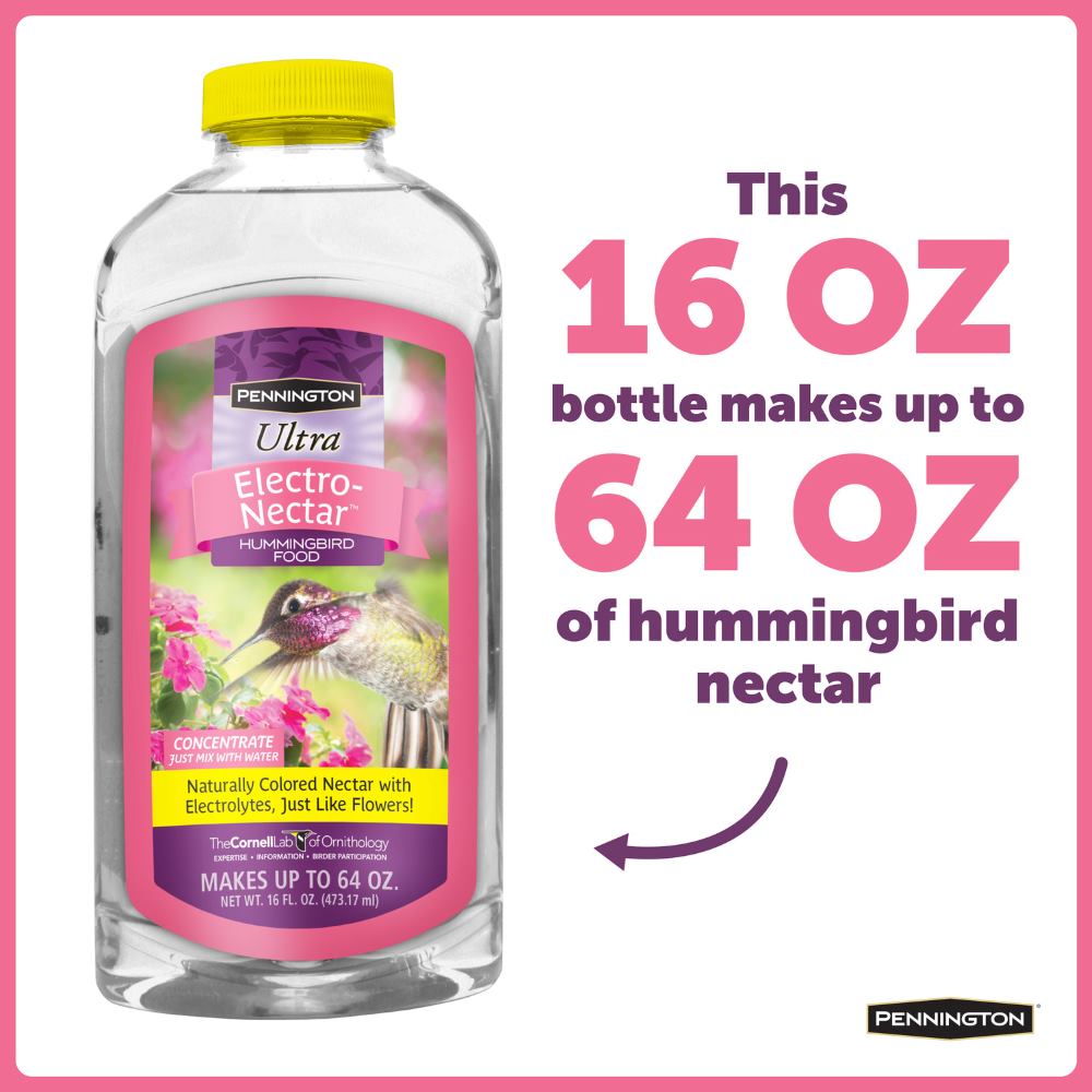 pennington ultraelectro nectar concentrate