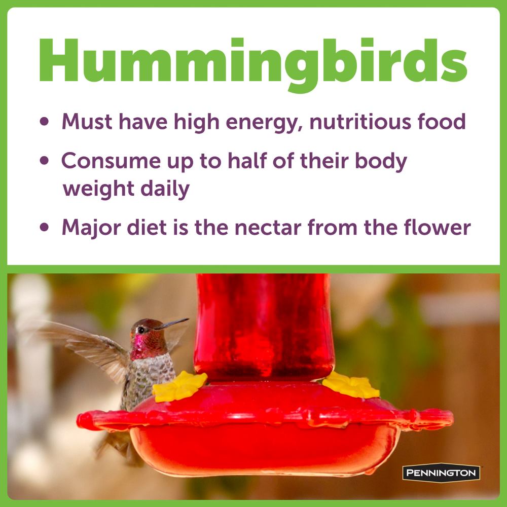 pennington ultra natural springs nectar concentrate