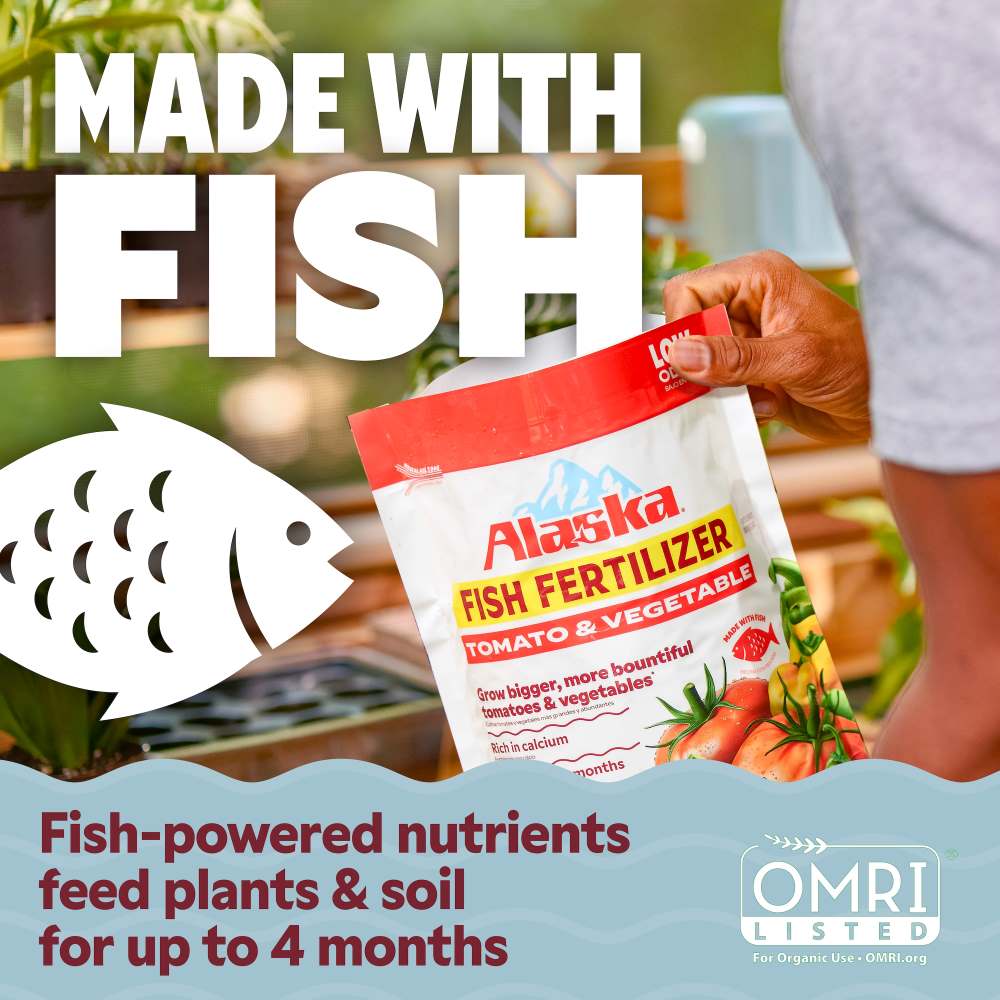 alaska fish fertilizer tomato and vegetable