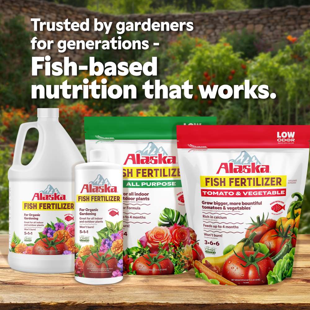 alaska fish fertilizer tomato and vegetable