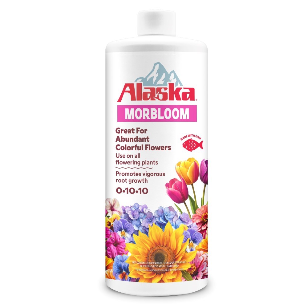alaska-morbloom-quart-front