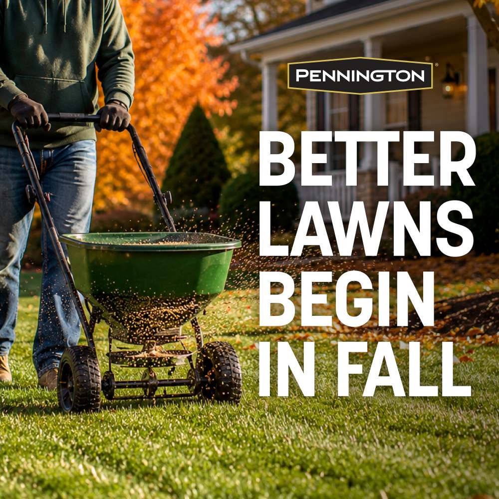 pennington better lawns begin in the fall