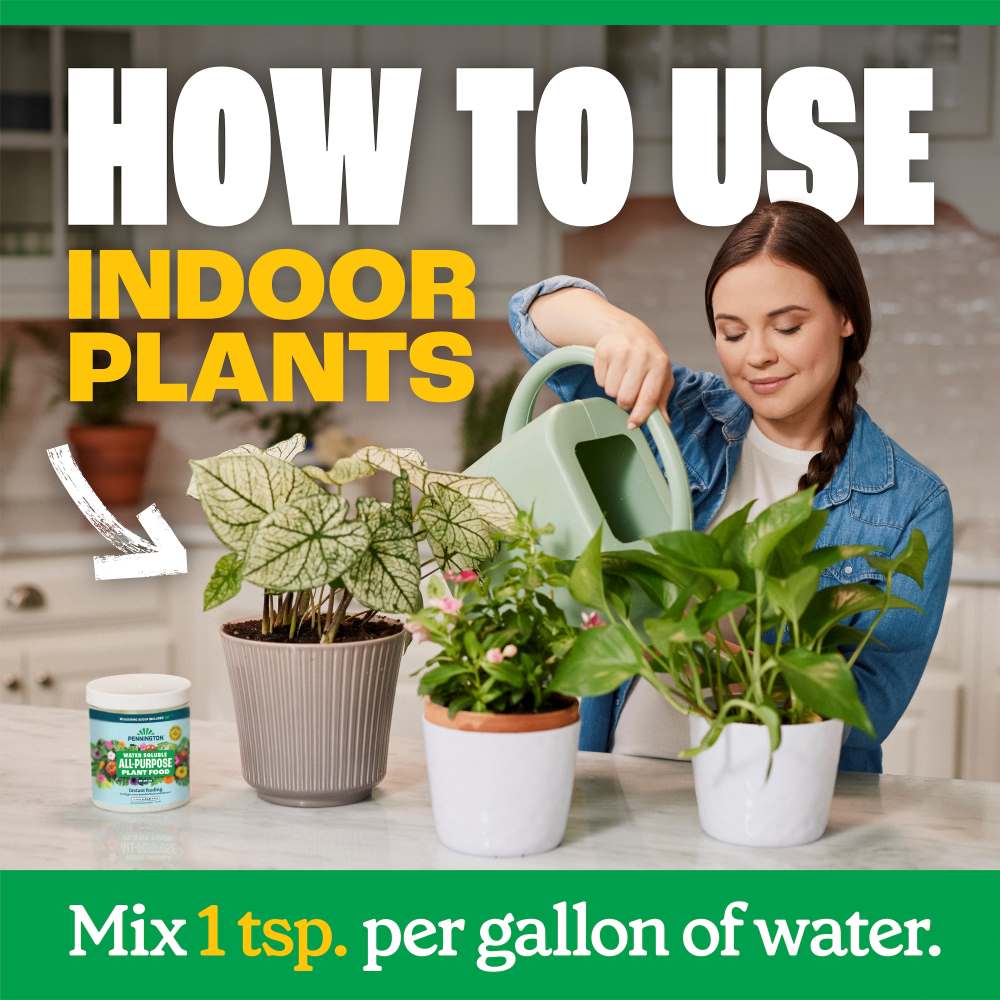 Pennington Water Soluble All Purpose Plant Food 20-10-20