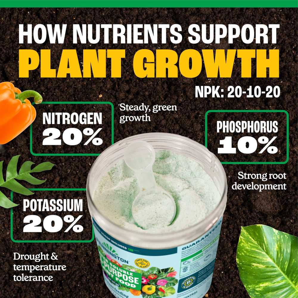 Pennington Water Soluble All Purpose Plant Food 20-10-20