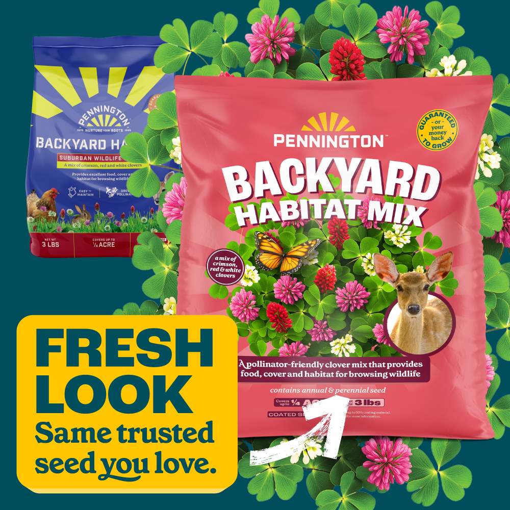 pennington backyard habitat mix