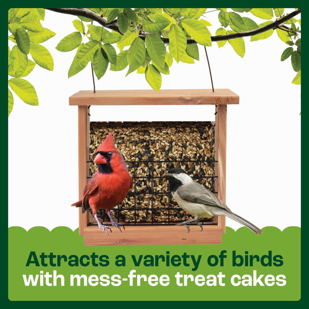 pennington cedar seed cake bird feeder