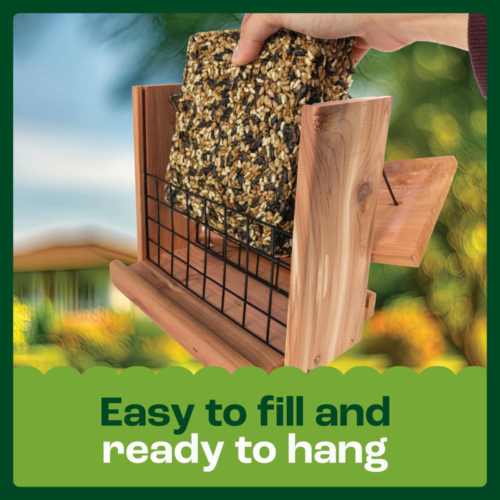 pennington cedar seed cake bird feeder