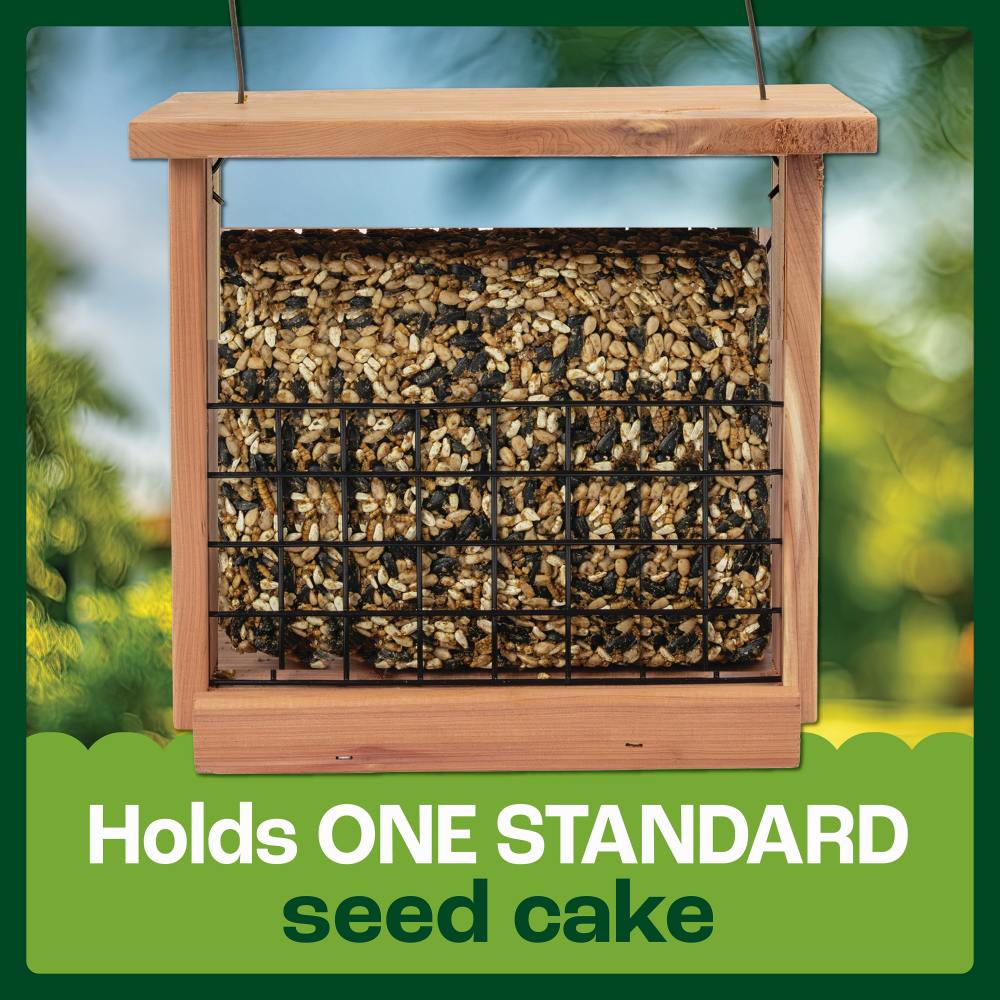 pennington cedar seed cake bird feeder