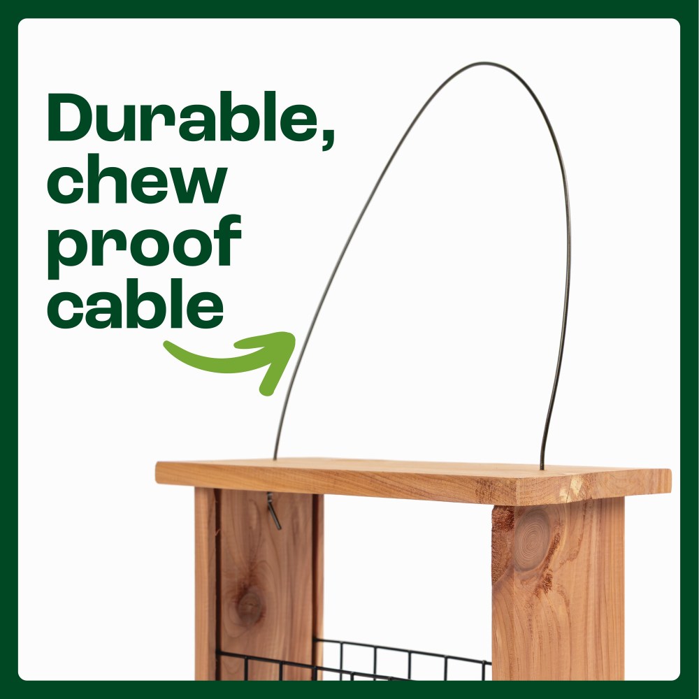 pennington cedar seed cake bird feeder
