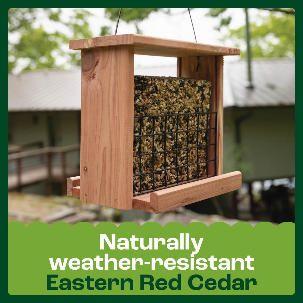 pennington cedar seed cake bird feeder