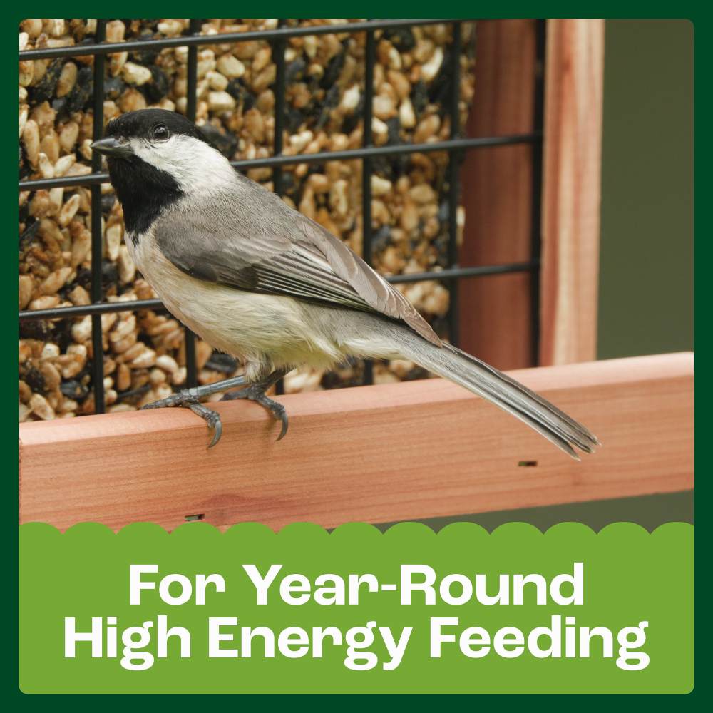 pennington cedar seed cake bird feeder