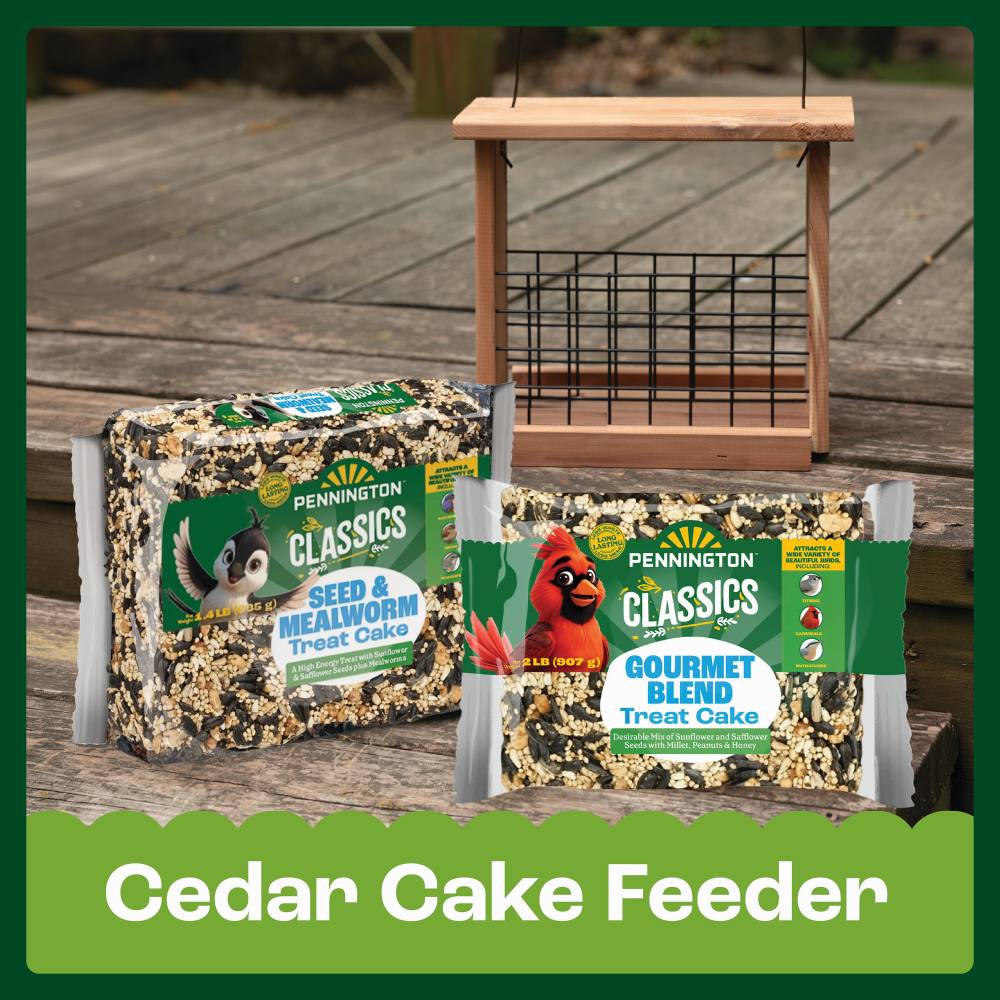 pennington cedar seed cake bird feeder