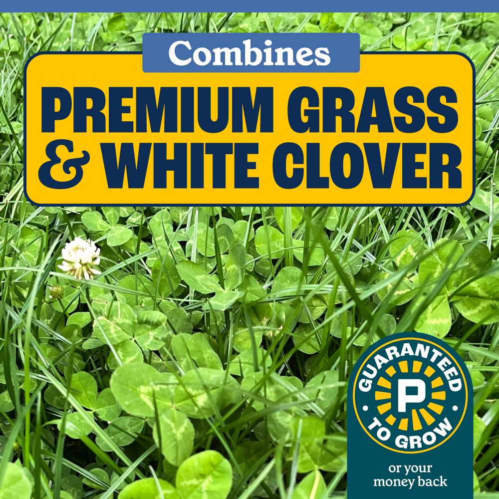 pennington clover and grass seed mix