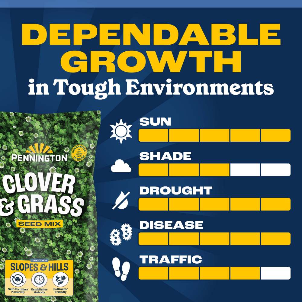 pennington clover and grass seed mix
