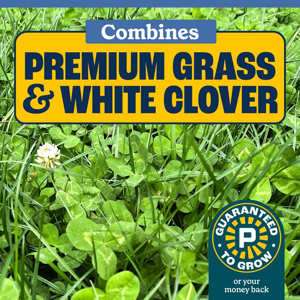 pennington clover and grass seed mix