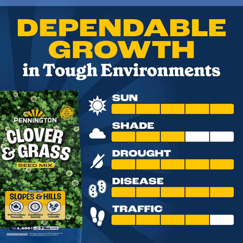 pennington clover and grass seed mix