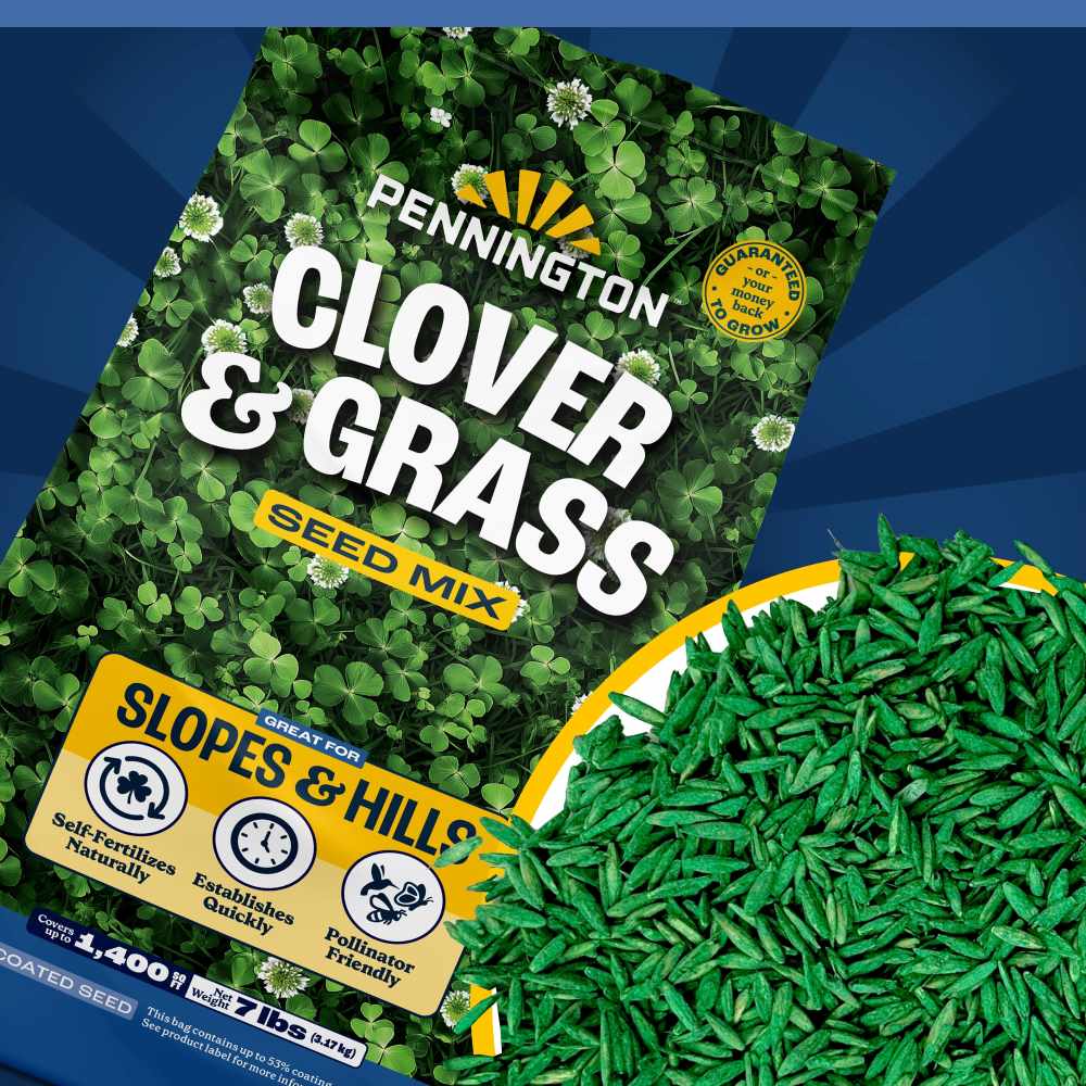 pennington clover and grass seed mix