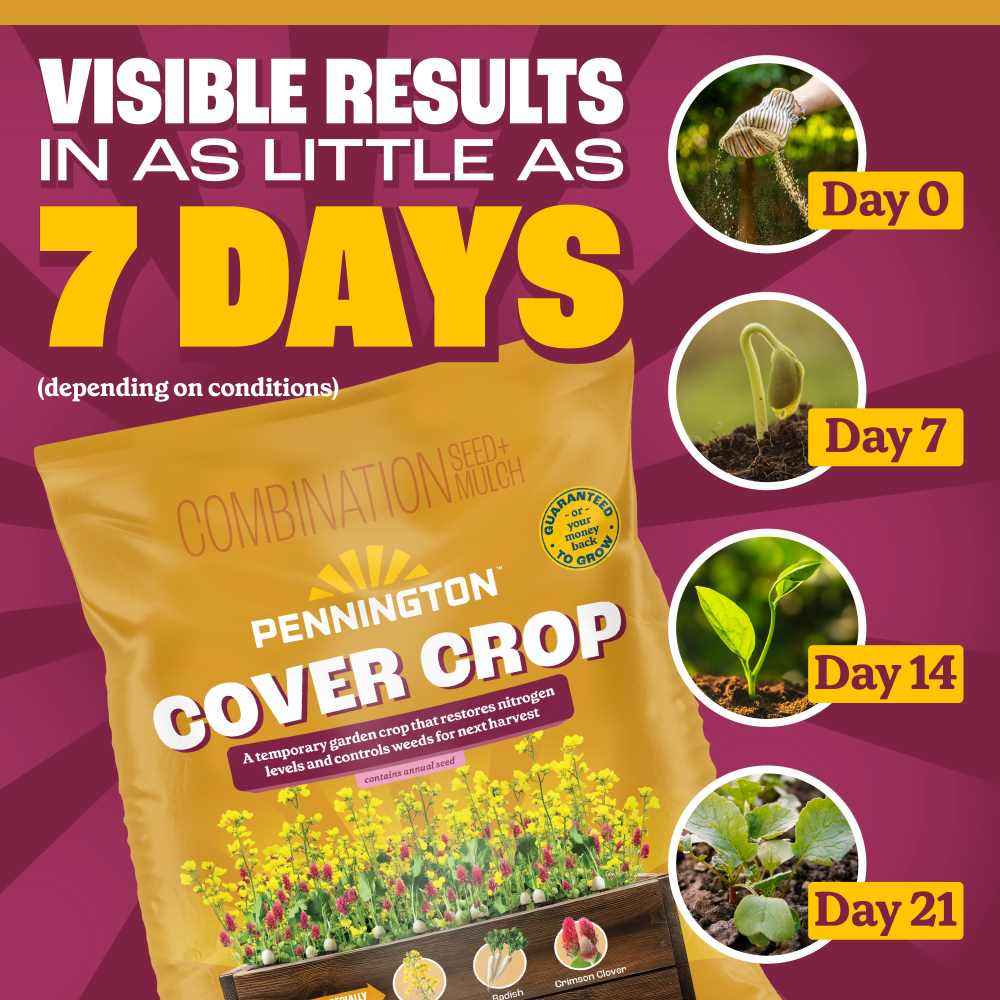 pennington cover crop