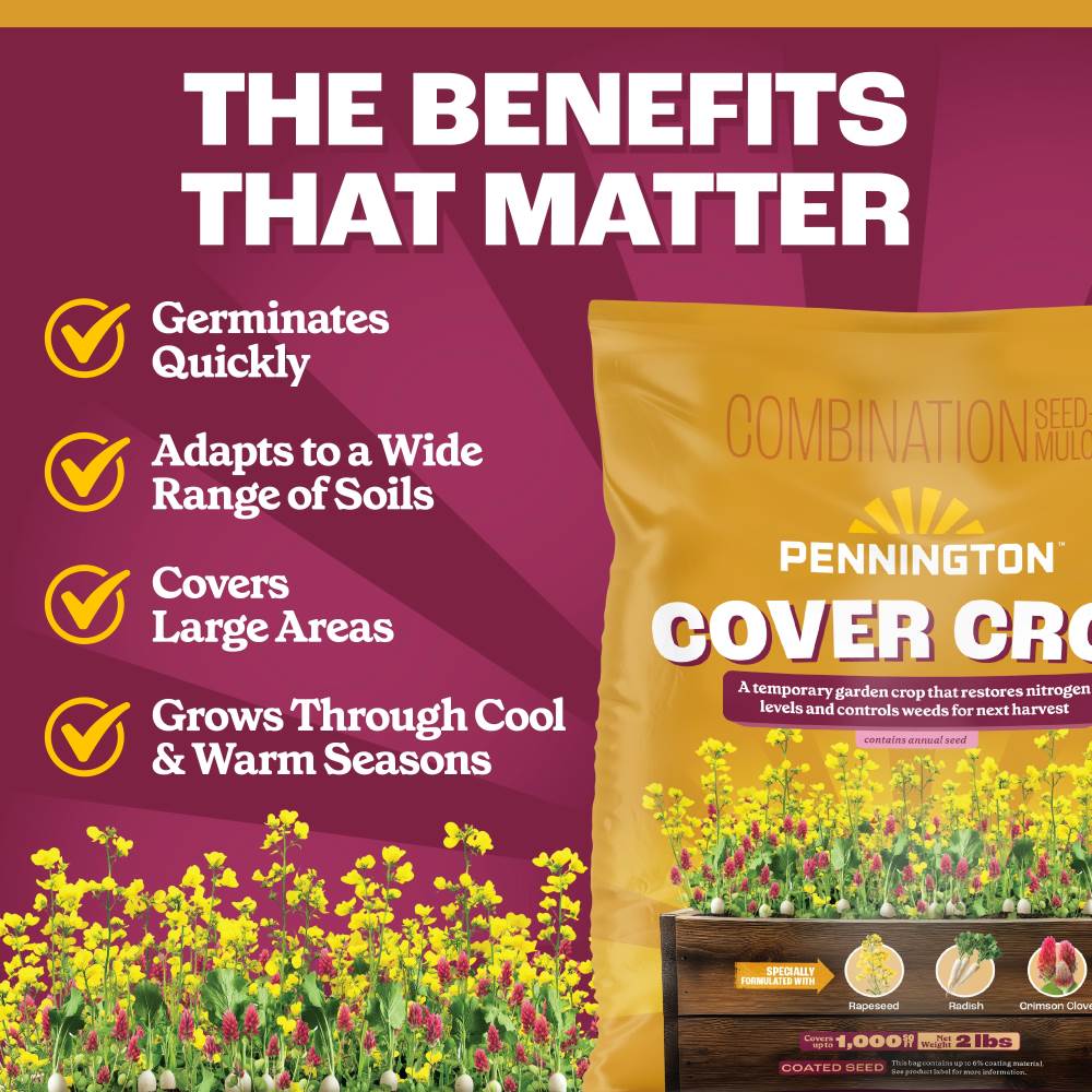 pennington cover crop