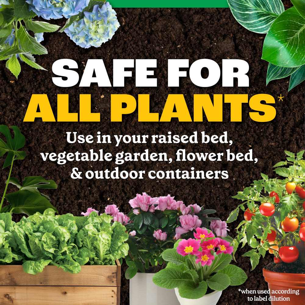 Pennington Easy-Dose All-Purpose Plant Food 2-3-2