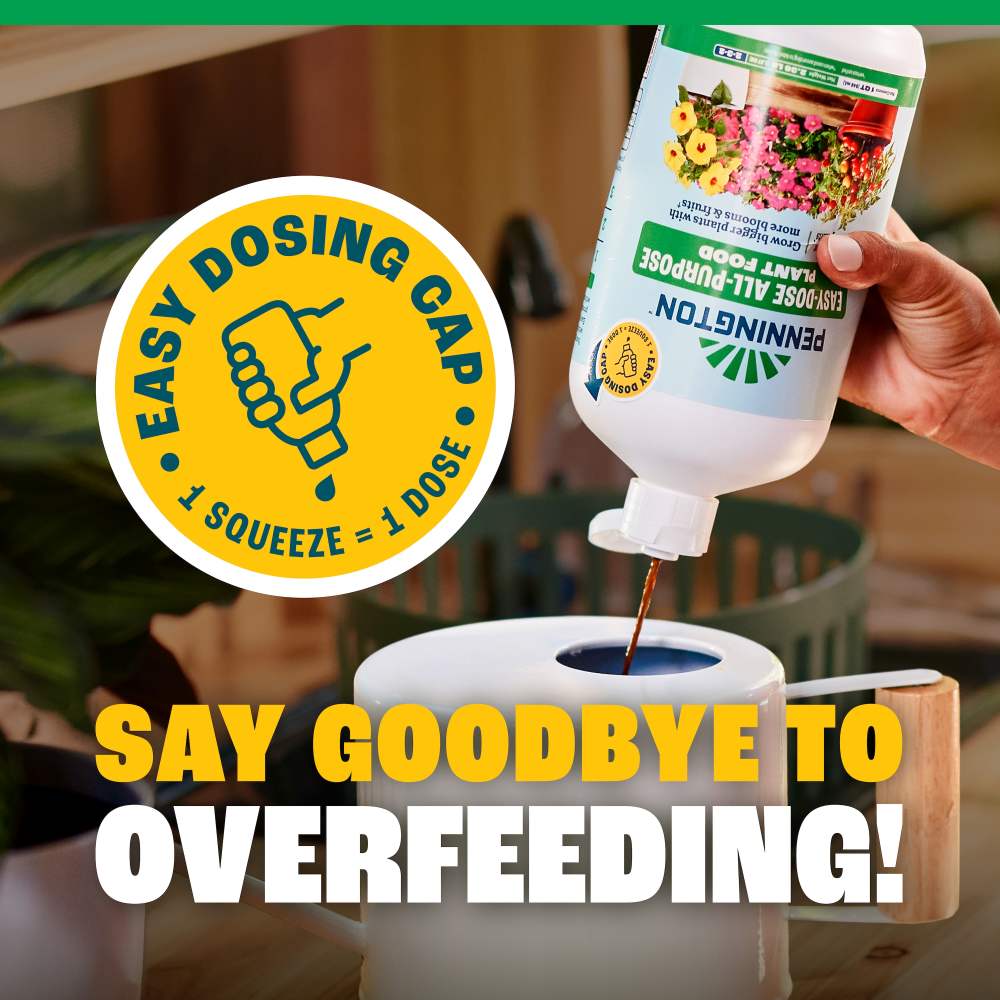 pennington easy dose all purpose plant food