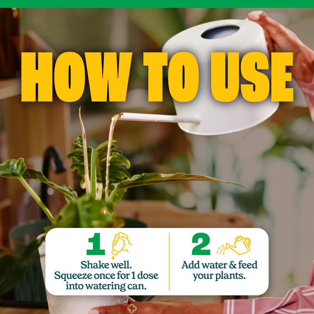pennington easy dose all purpose plant food