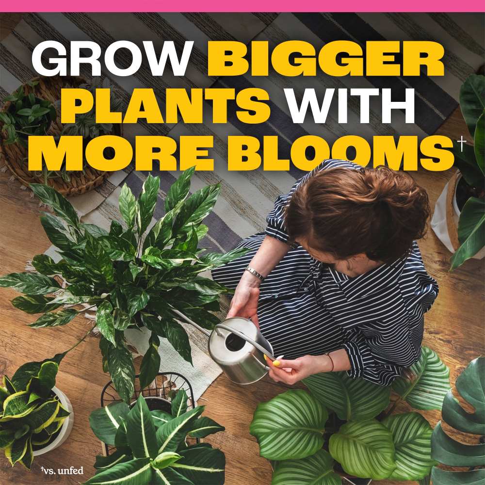 Pennington Easy-Dose Indoor Houseplant Food 2-3-2