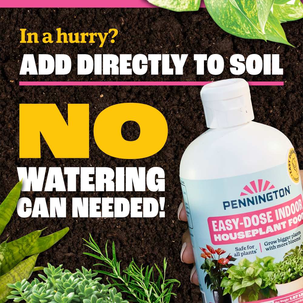 pennington easy-dose indoor houseplant food