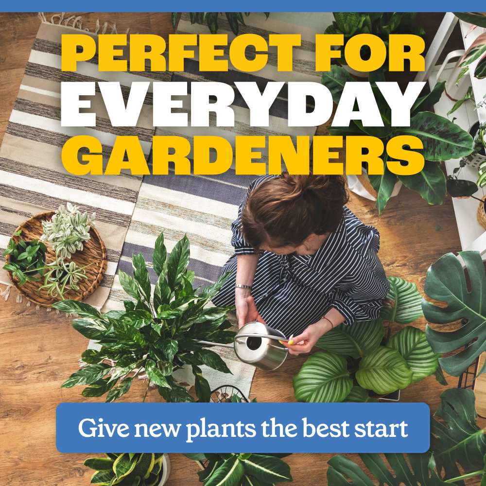 pennington easy dose plant starter