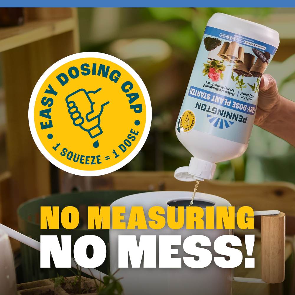 pennington easy dose plant starter