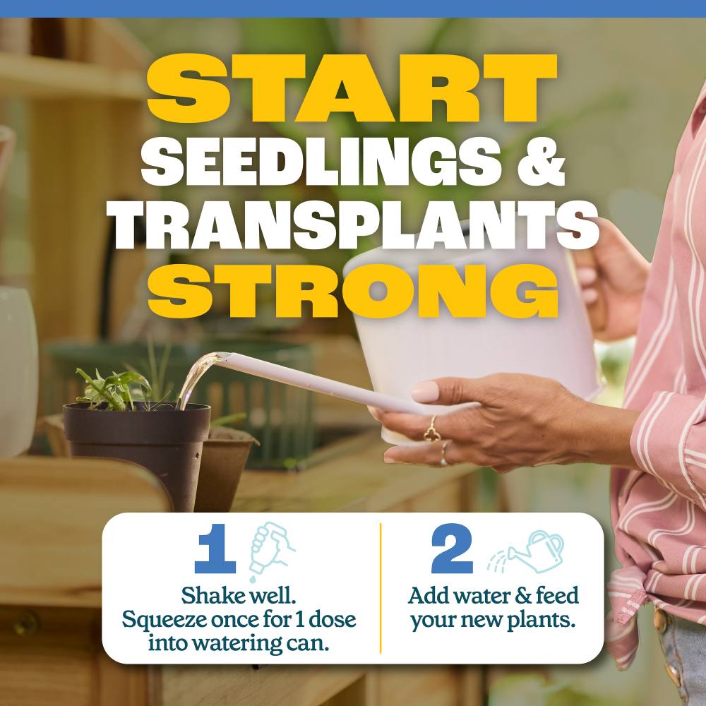 pennington easy dose plant starter