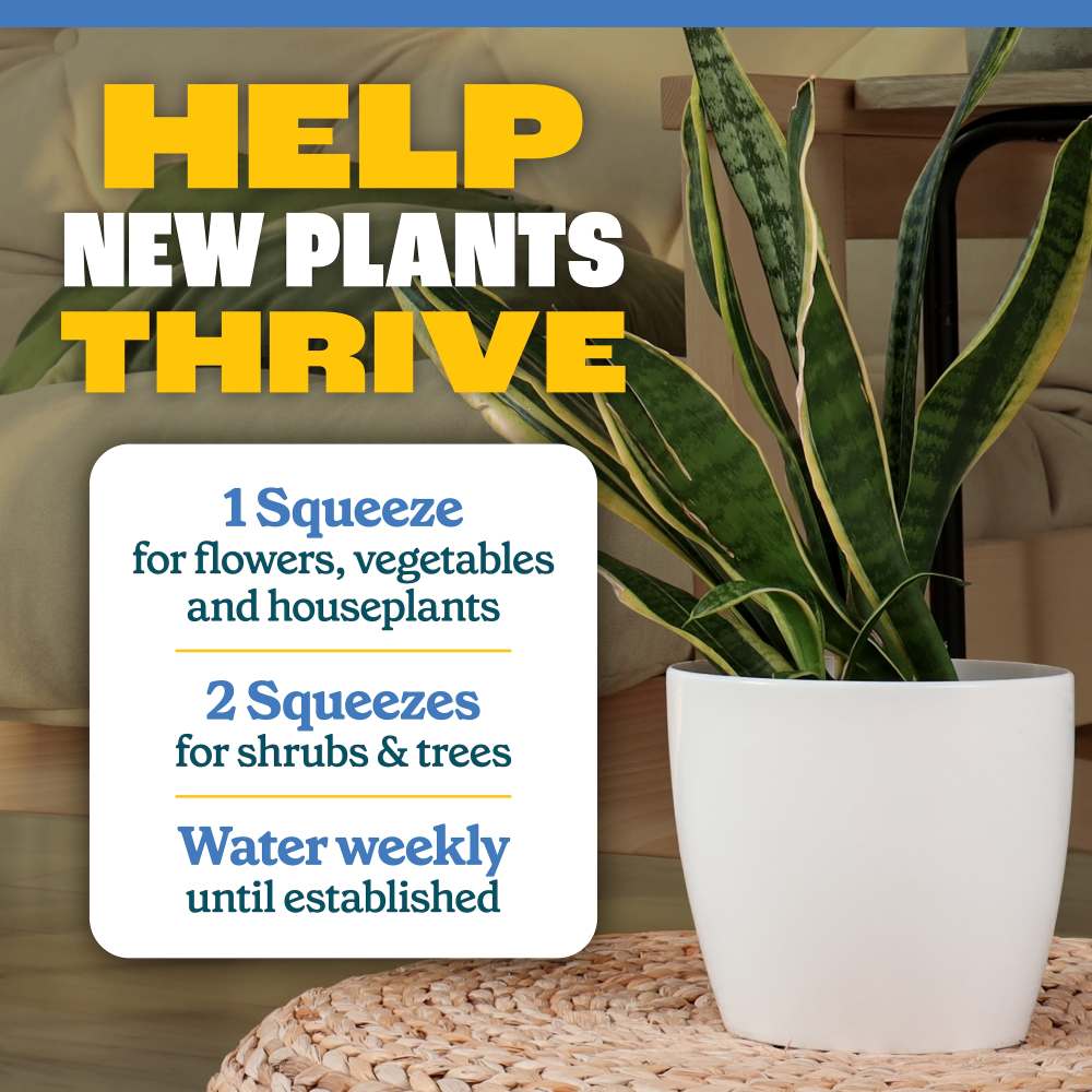 pennington easy dose plant starter