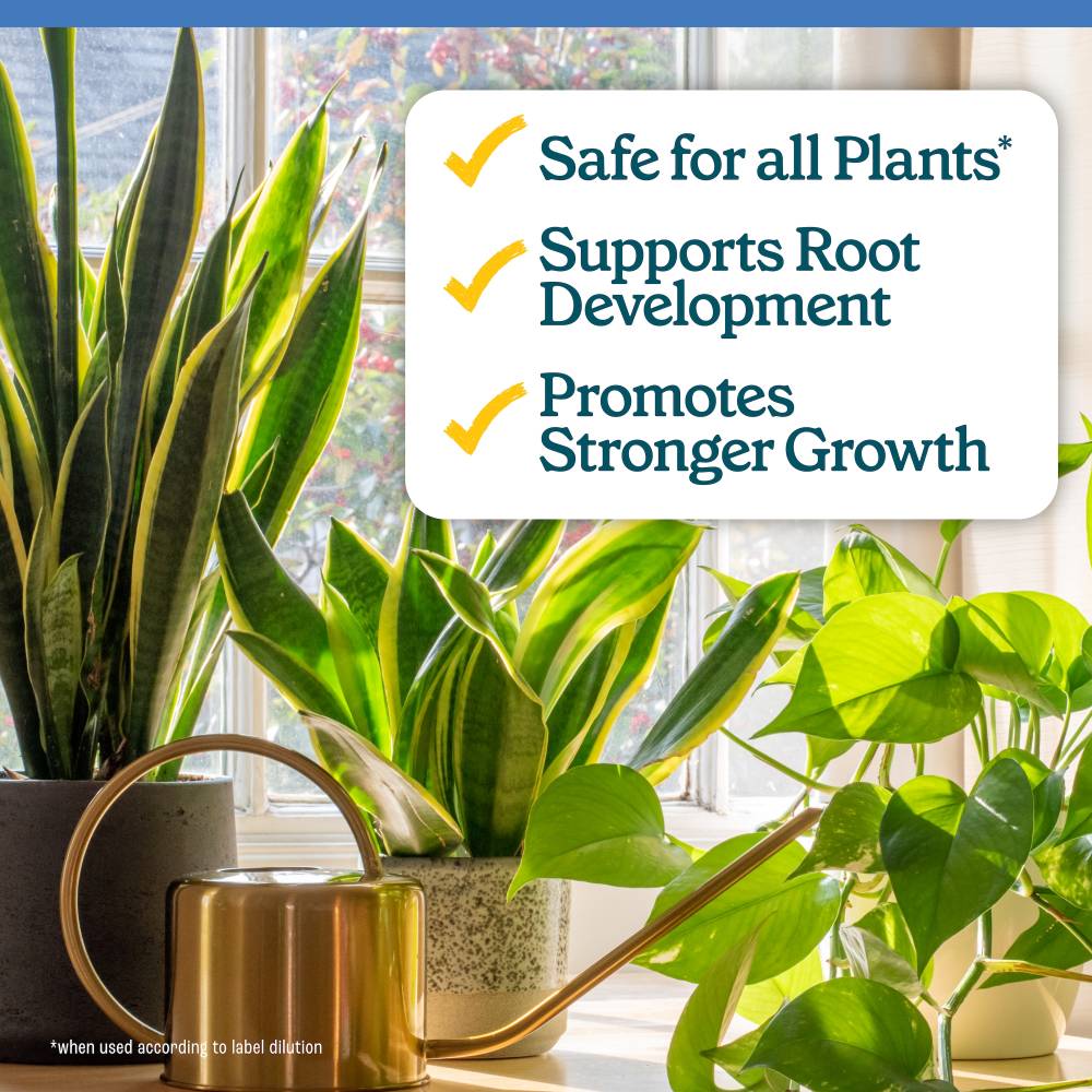 pennington easy dose plant starter