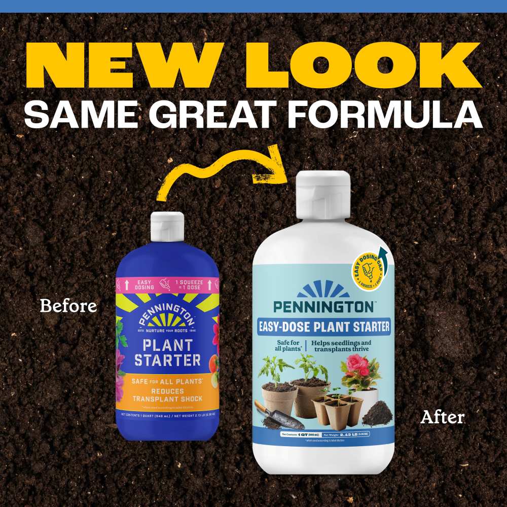 pennington easy dose plant starter