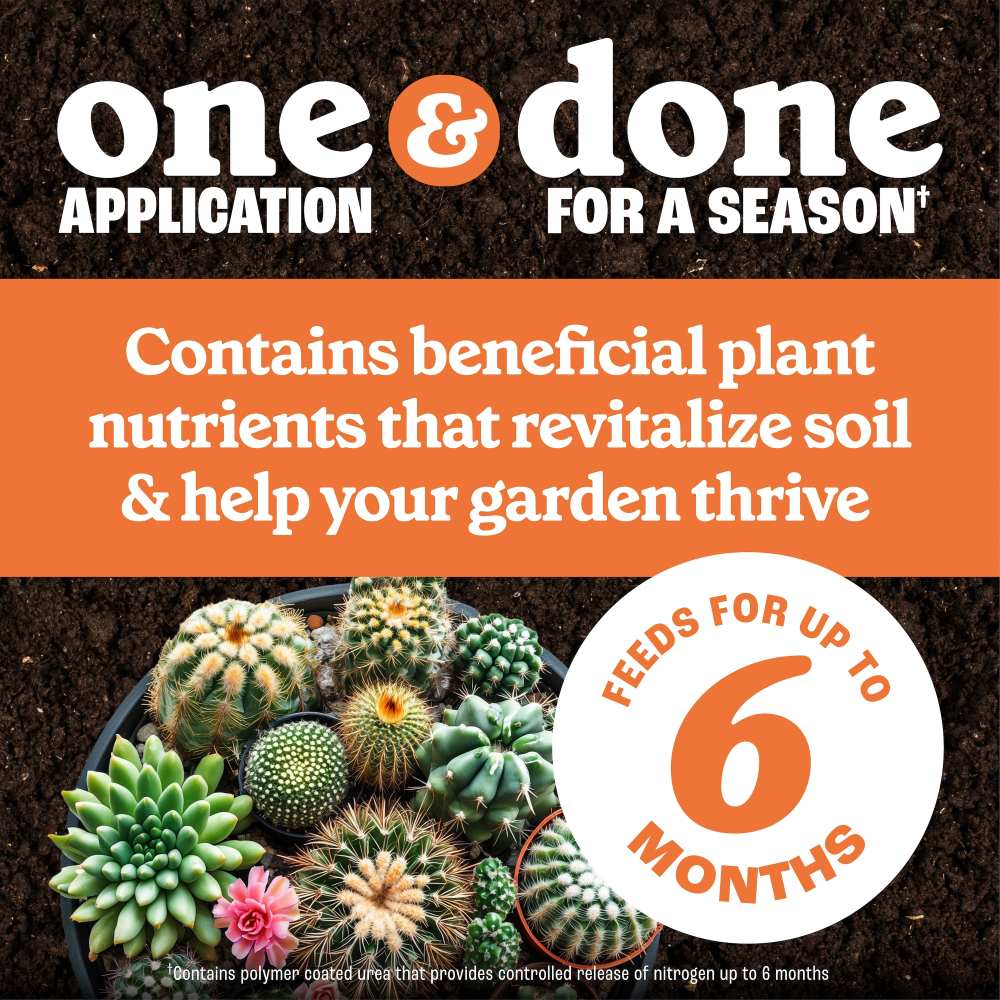 pennington full season cactus succulent plant food