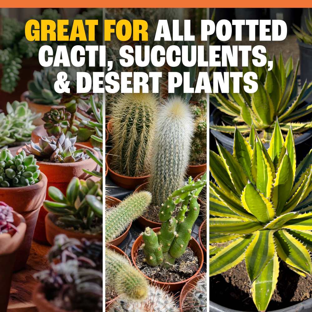 pennington full season cactus succulent plant food