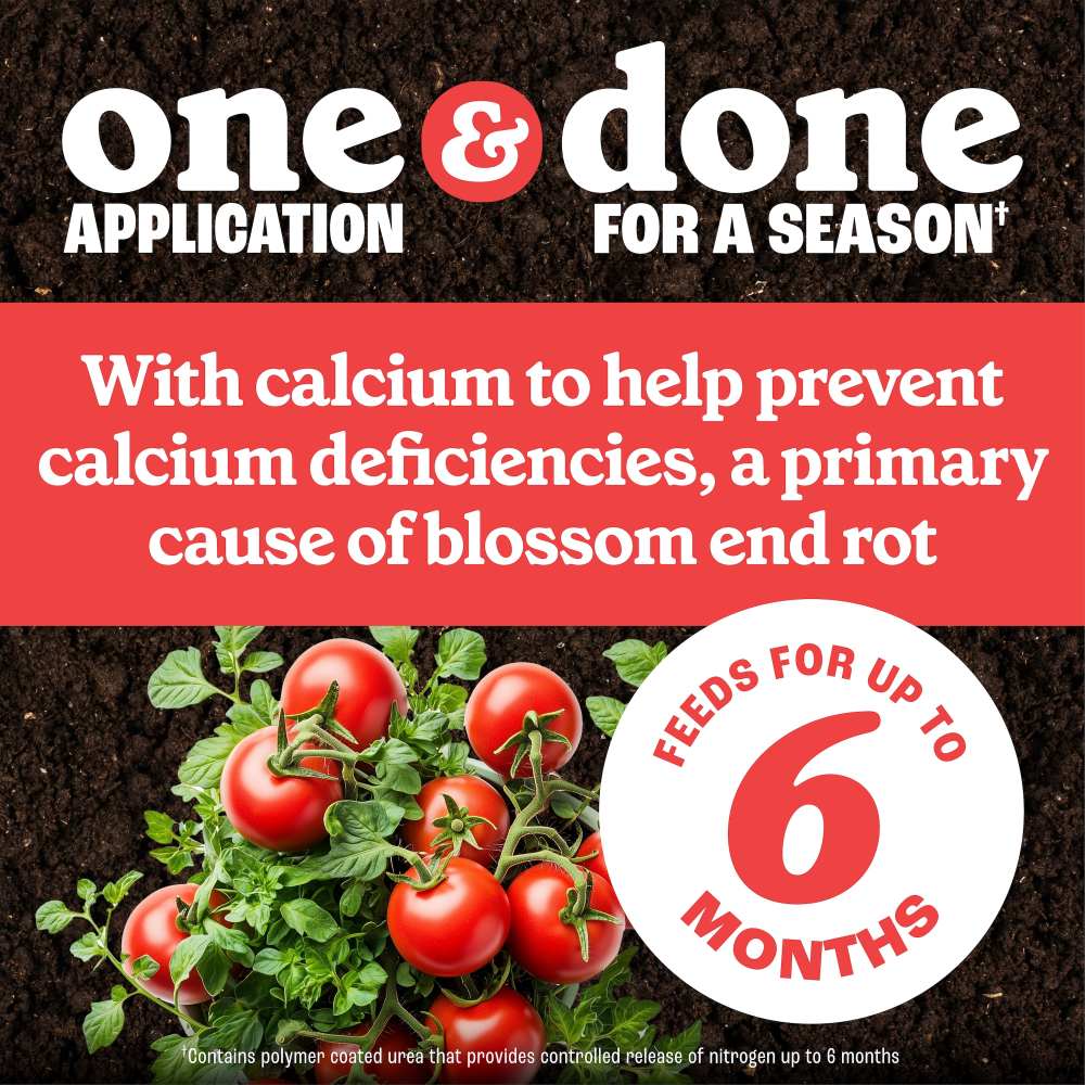 pennington full season tomato and vegetable plant food