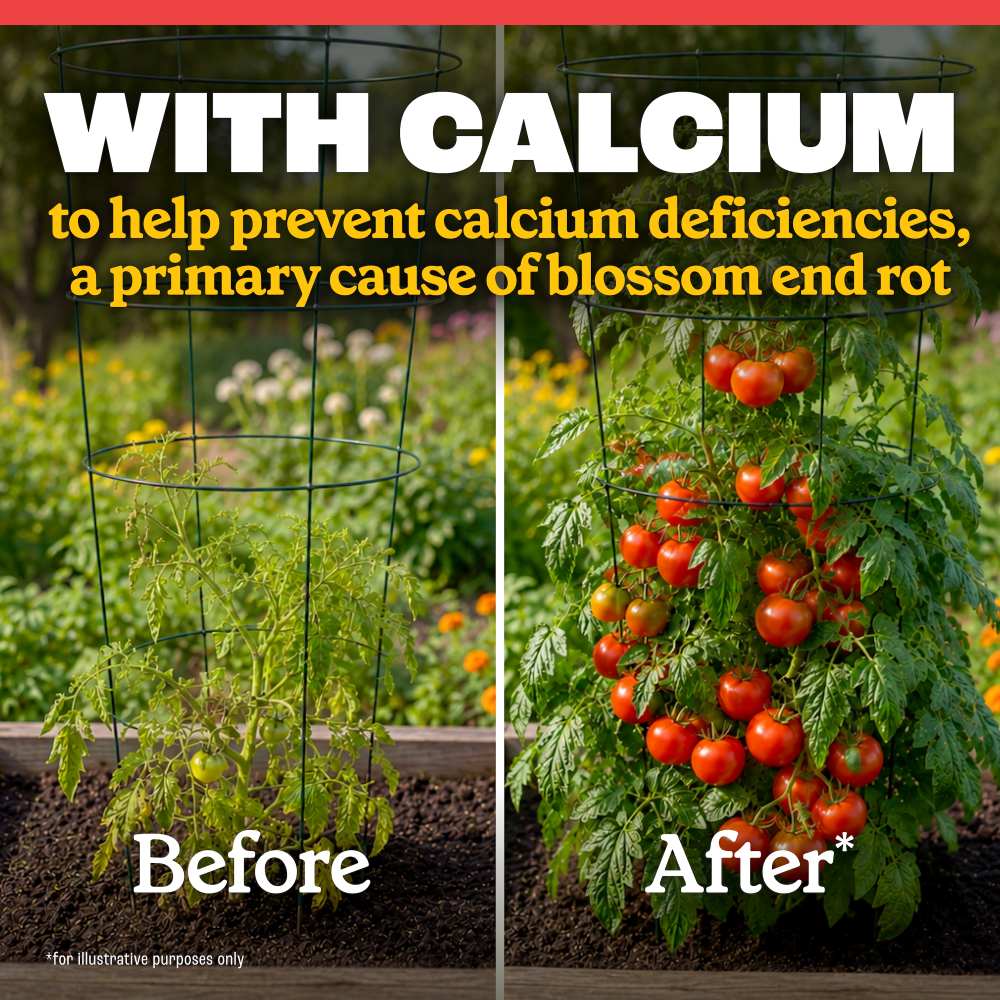 pennington full season tomato and vegetable plant food