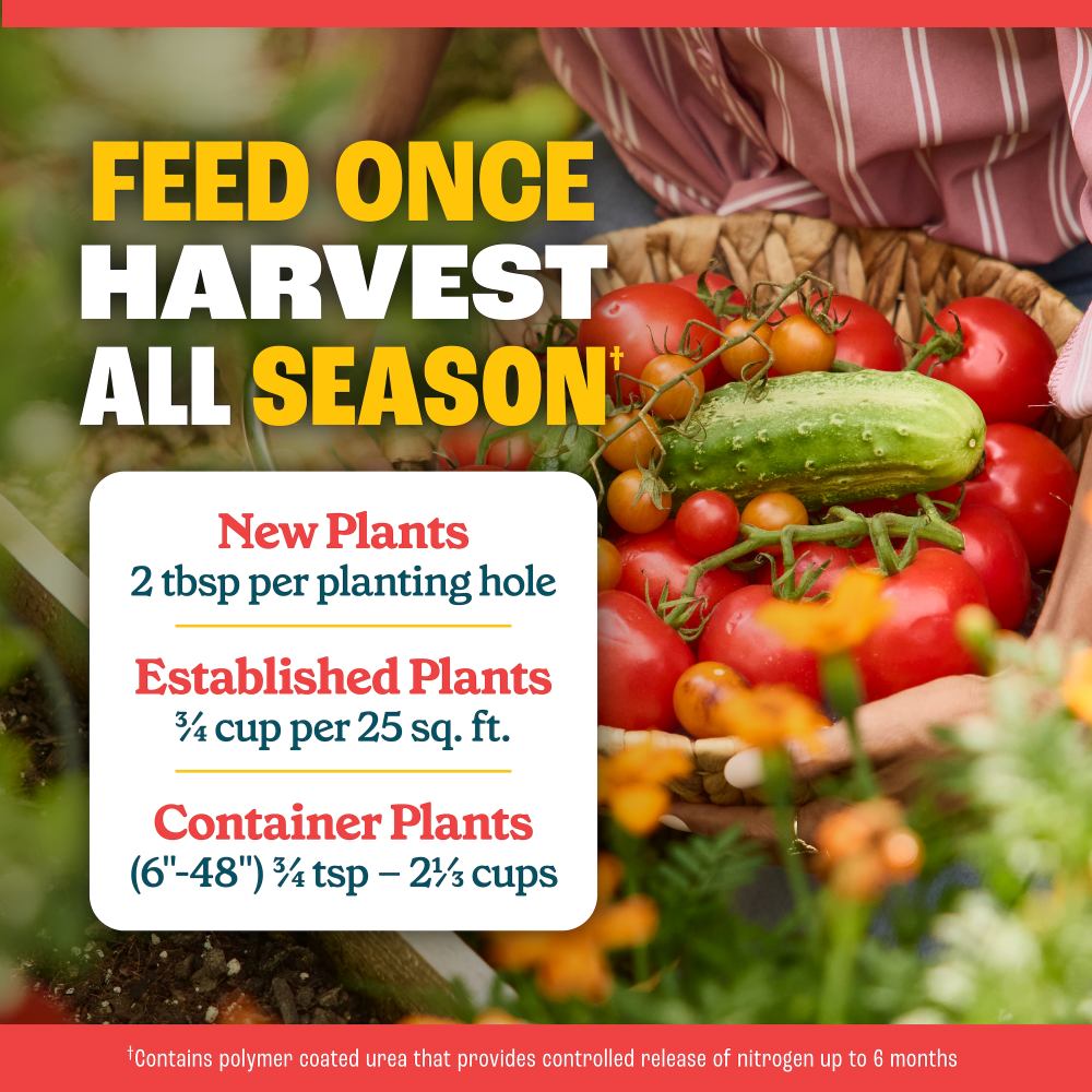 pennington full season tomato and vegetable plant food