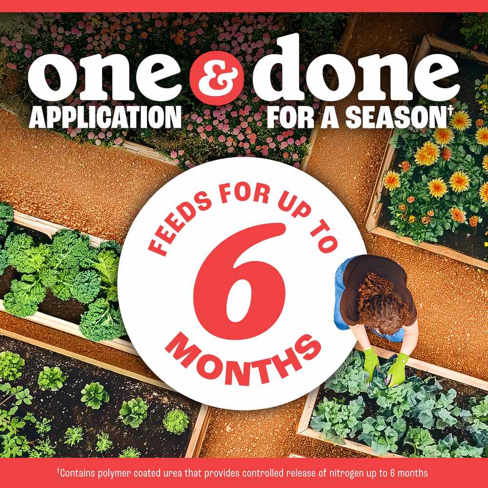 pennington full season tomato and vegetable plant food